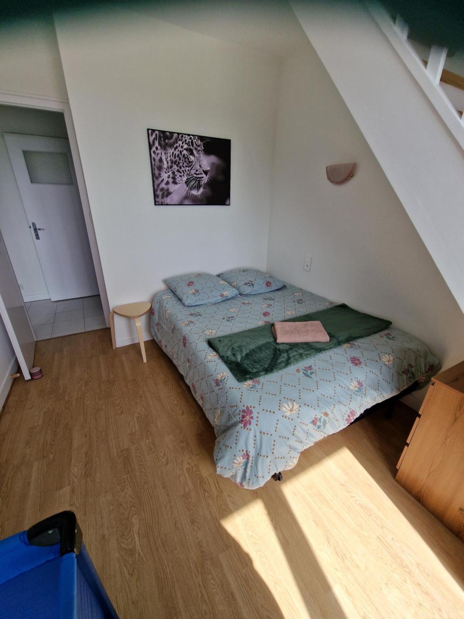 Maison spacieuse à saint coulomb Extérieur photo